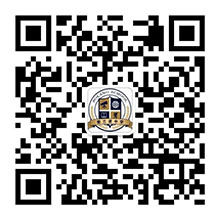 粗大鸡巴插入骚穴视频